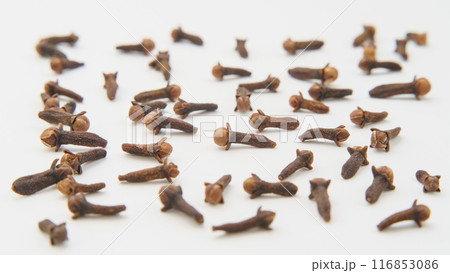 クローブ(チョウジ・丁字) 116853086