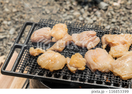 【オートキャンプ場でソロキャンプ 網で白モツを焼く】 【オートキャンプ場でソロキャンプ 網で白モツを焼く】 116853399