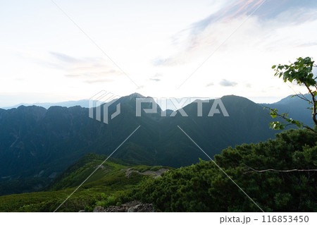 北沢峠から仙丈ヶ岳への登山道 北沢峠から仙丈ヶ岳への登山道 116853450