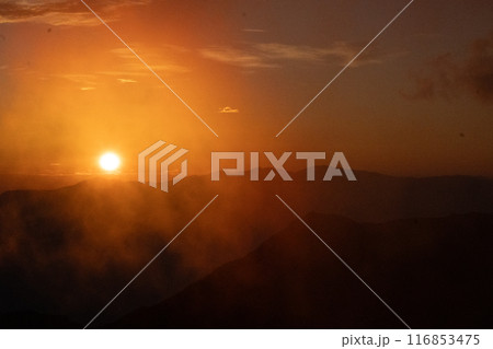 北沢峠から仙丈ヶ岳への登山道 北沢峠から仙丈ヶ岳への登山道 116853475