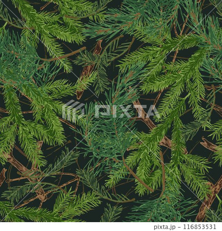 Seamless camouflage pattern with fir twigs with green needles, dry sticks. Forest nature elements. For apparel, fabric, textile, sport goods. 116853531