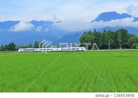 大糸線　臨時特急あずさ1号 116853698