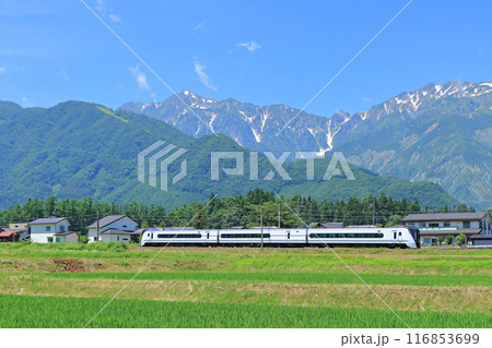 大糸線　臨時特急あずさ1号 116853699