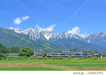 大糸線　夏の白馬山麓 116853701