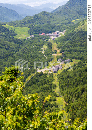 横手山山頂から夏の志賀高原を眺める 116853718