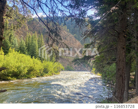 Clear Creek river running downstream on a bright morning in July Clear Creek river running downstream on a bright morning in July 116853728