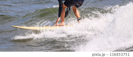 Legs and arms of a surfer riding a wave squatting for balance Legs and arms of a surfer riding a wave squatting for balance 116853751