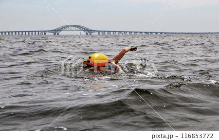 Women swimming in the bay with a bright orange floataion device headed toward a bridge Women swimming in the bay with a bright orange floataion device headed toward a bridge 116853772