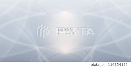 Abstract white curve lines on grey background. with lighting effect sparkle. Frame circle for product design. 116854123