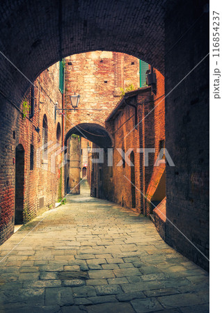 Narrow street in Siena Tuscany, Italy 116854237