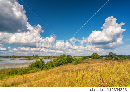 Summer landscape at sunny day Summer landscape at sunny day 116854238
