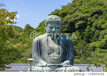 鎌倉大仏 116854326