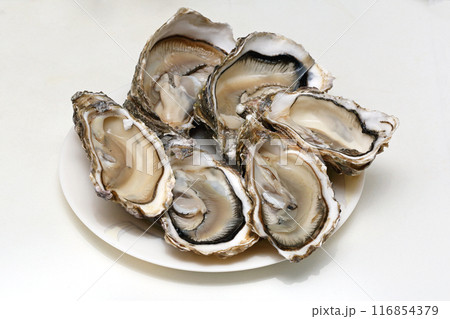 Open Oysters 116854379