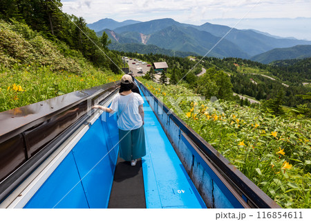 夏の志賀高原　横手山スカイレーターからの風景 116854611