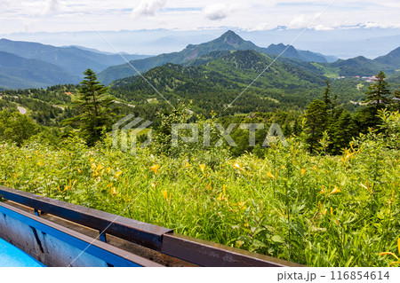 夏の志賀高原 横手山スカイレーターからの風景 夏の志賀高原 横手山スカイレーターからの風景 116854614