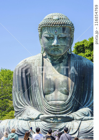 【縦写真】鎌倉大仏 【縦写真】鎌倉大仏 116854769