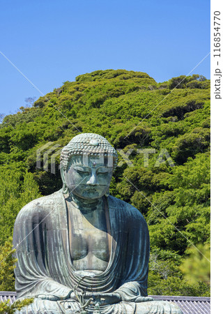 【縦写真】鎌倉大仏 【縦写真】鎌倉大仏 116854770