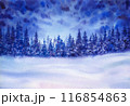 Winter wonderland night landscape.  Forest background. Watercolor illustration. 116854863