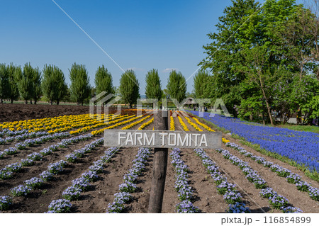 ファーム富田 ファーム富田 116854899