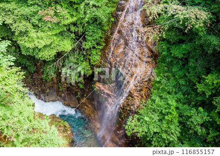 「川浦渓谷」シルクの滝(岐阜県) 「川浦渓谷」シルクの滝(岐阜県) 116855157