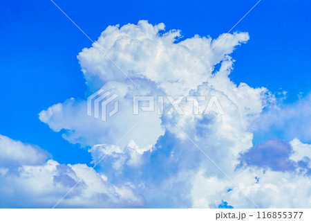 夏雲　イメージ　 116855377