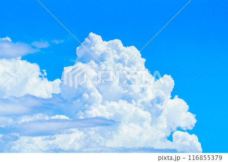 夏雲 イメージ 夏雲 イメージ 116855379