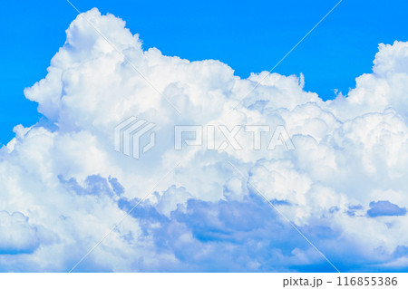 夏雲　イメージ　 116855386