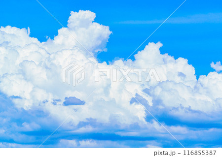 夏雲　イメージ　 116855387