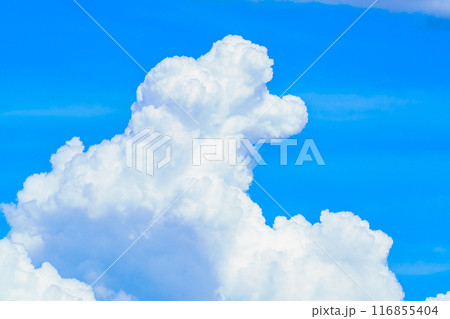 夏雲　イメージ　 116855404