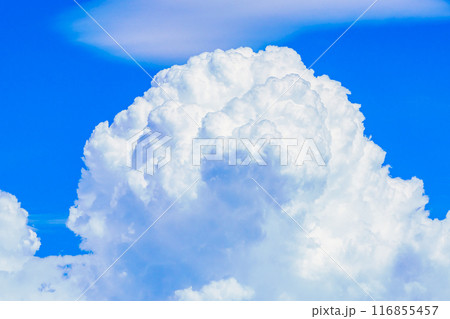 夏雲 イメージ 夏雲 イメージ 116855457