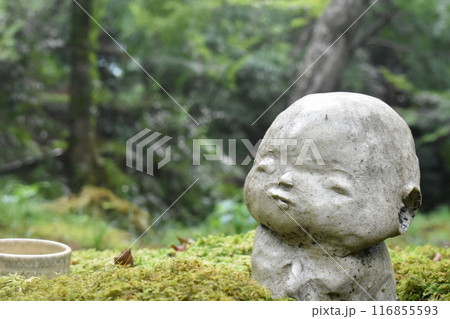 子供地蔵と日本庭園 子供地蔵と日本庭園 116855593