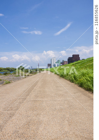 大阪の淀川、城北ワンドの風景 116855626