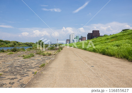 大阪の淀川、城北ワンドの風景 大阪の淀川、城北ワンドの風景 116855627