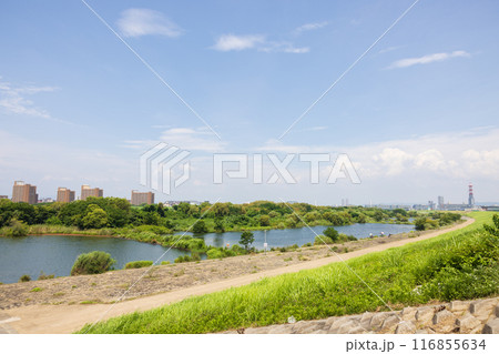 大阪の淀川、城北ワンドの風景 大阪の淀川、城北ワンドの風景 116855634