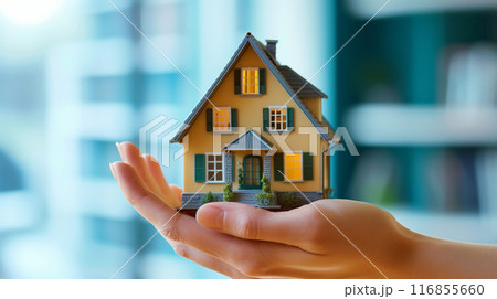 House model in hand background 116855660
