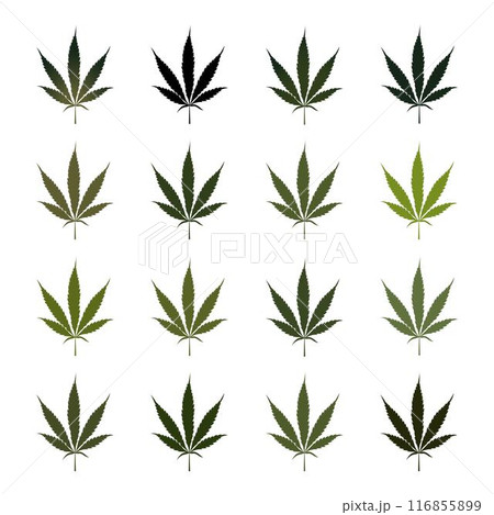 Vector illustration of hemp.のイラスト素材 [116855899] - PIXTA