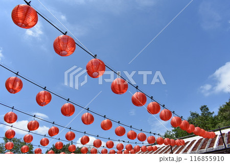 青空と赤提灯 青空と赤提灯 116855910