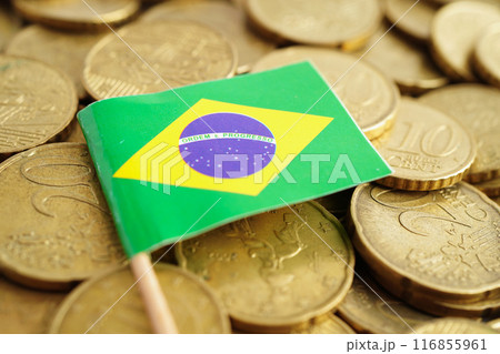 Brazil flag on coins background, finance and accounting, banking concept. 116855961