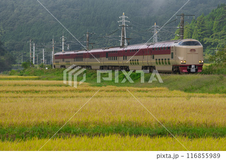 サンライズ出雲 サンライズ出雲 116855989