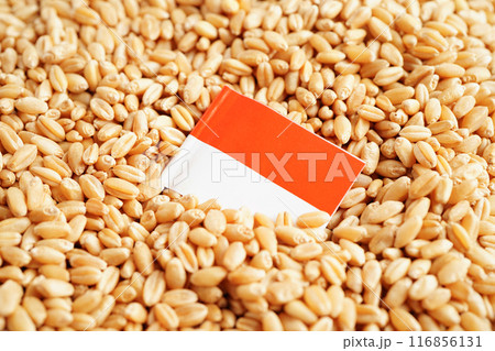Monaco flag on grain wheat, trade export and economy concept. Monaco flag on grain wheat, trade export and economy concept. 116856131