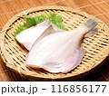 生のカレイ 生のカレイ 116856177