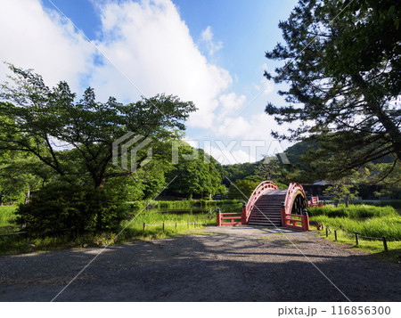 池のある風景 116856300