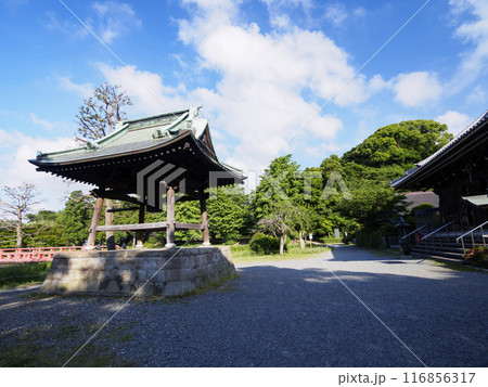 池のある風景 池のある風景 116856317
