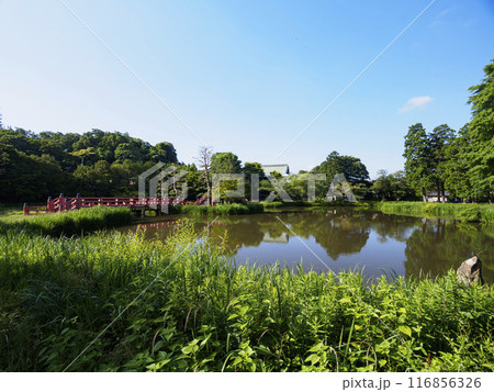 池のある風景 116856326