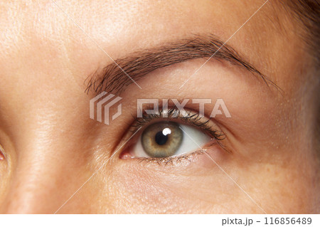 Detailed photo of woman's face, preorbital zone with well-kept, smooth and healthy skin. Anti-aging skincare cosmetic products. 116856489