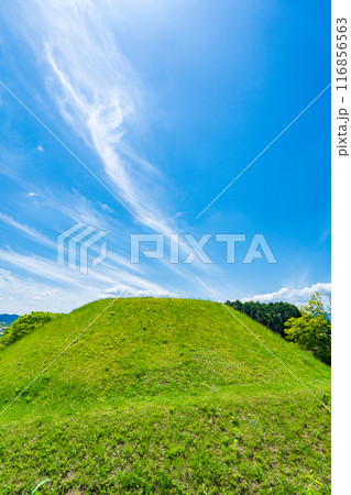 奈良県明日香村 初夏の青空に映える高松塚古墳 奈良県明日香村 初夏の青空に映える高松塚古墳 116856563