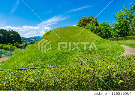 奈良県明日香村　初夏の青空に映える高松塚古墳 116856564