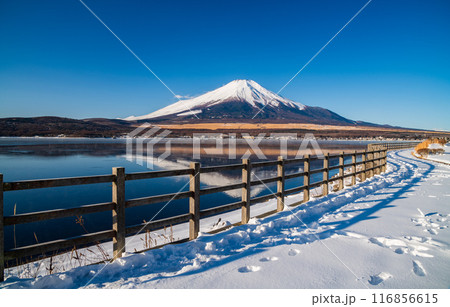 Mt.Fuji with Lake Yamanaka, Yamanashi, Japan 116856615
