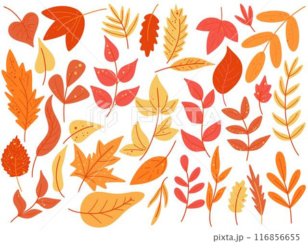 Collection of colorful autumn leaves falling from trees 116856655