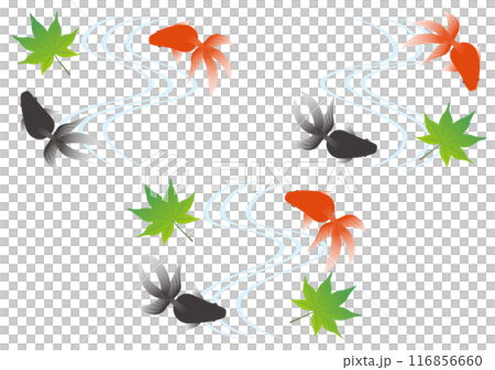 一組遊動的紅黑金魚和秋葉的圖像插圖 116856660